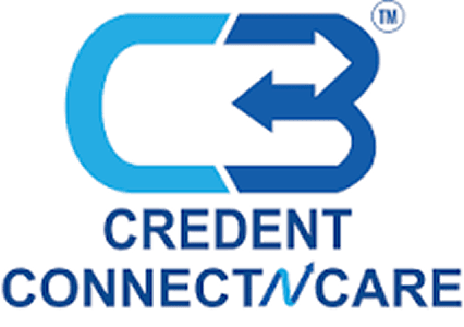CREDENT CONNECT N CARE L Share Price